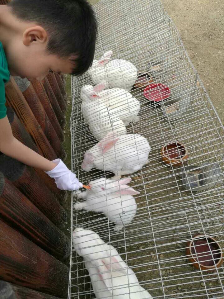 918博天堂(中国游)最新官方网站